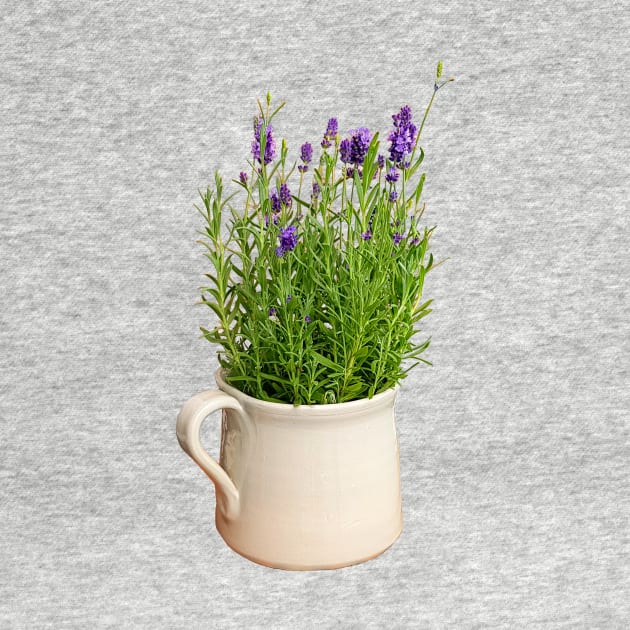 Lavender Plant in a Jug for Mothers Day by ellenhenryflorals